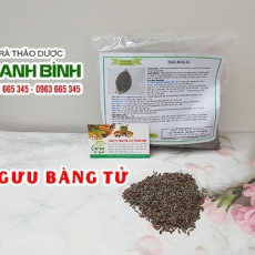 Mua bán ngưu bàng tử tại quận 1 giúp thanh nhiệt giải độc hiệu quả
