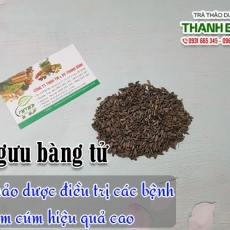 Mua bán ngưu bàng tử tại TP.HCM uy tín chất lượng tốt nhất