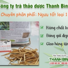 Mua bán ngưu tất tại quận 7 có khả năng làm tan máu đông rất hiệu quả tốt nhất