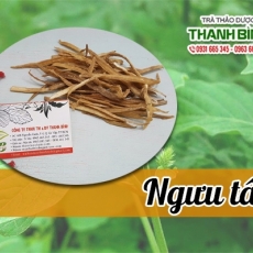 Mua bán ngưu tất tại TP.HCM uy tín chất lượng tốt nhất