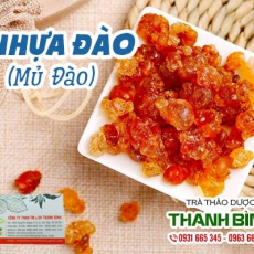 Mua bán nhựa đào ở quận Thủ Đức có tác dụng hỗ trợ điều trị tiểu đường