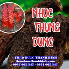 Mua bán nhục thung dung tại Cao Bằng giúp bổ thận tráng dương hiệu quả