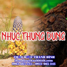 Mua bán nhục thung dung tại Cao Bằng uy tín chất lượng nhất