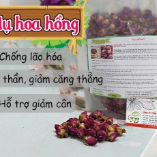 Mua bán nụ hoa hồng tại TP.HCM uy tín chất lượng tốt nhất