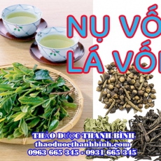 Mua bán nụ vối, lá vối tại Bình Phước giúp điều trị bệnh gout, giảm cân hiệu quả
