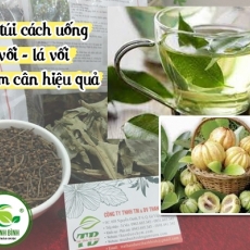 Mua bán nụ vối lá vối tại quận 2 có tác dụng giúp trị khó tiêu hiệu quả tốt nhất