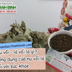 Mua bán nụ vối lá vối tại TP.HCM uy tín chất lượng tốt nhất