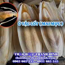 Mua bán ô tặc cốt (mai mực) tại quận Thanh Xuân giúp điều trị thổ huyết