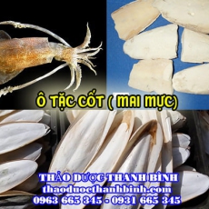 Mua bán ô tặc cốt (mai mực) tại Quảng Bình có tác dụng chữa viêm dạ dày