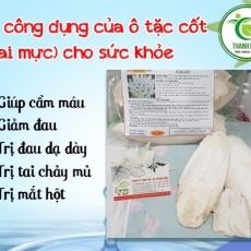 Mua bán ô tặc cốt ở quận Thủ Đức có tác dụng thúc đẩy quá trình đông máu an toàn hiệu quả