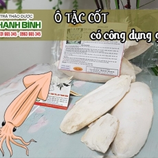 Mua bán ô tặc cốt tại TP.HCM uy tín chất lượng tốt nhất