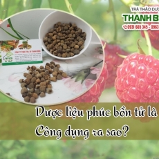 Mua bán phúc bồn tử tại TP.HCM uy tín chất lượng tốt nhất