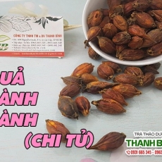Mua bán quả dành dành (chi tử) ở quận Thủ Đức có tác dụng trị lở miệng an toàn hiệu quả nhất