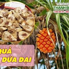 Mua bán quả dứa dại ở huyện Bình Chánh giúp giảm cân uy tín nhất