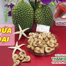 Mua bán quả dứa dại tại TP.HCM uy tín chất lượng tốt nhất