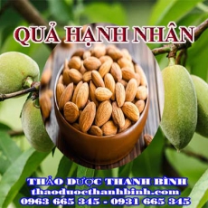 Mua bán quả hạnh nhân tại Bắc Giang tốt cho não bộ giảm cholesterol hiệu quả