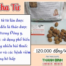 Mua bán quả kha tử ở huyện Nhà Bè giúp chữa ho khản tiếng tốt nhất