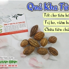 Mua bán quả kha tử ở quận Tân Phú có tác dụng ức chế nhiều loại vi khuẩn hiệu quả tốt