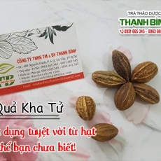 Mua bán quả kha tử tại TP.HCM uy tín chất lượng tốt nhất