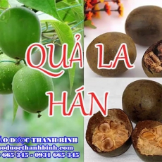 Mua bán quả la hán tại Bình Thuận uy tín chất lượng nhất