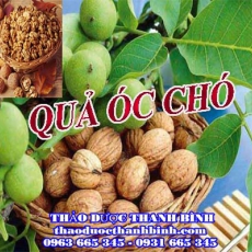 Mua bán quả óc chó tại Bắc Kạn giúp cải thiện trí não hiệu quả