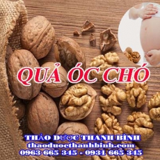 Mua bán quả óc chó tại Bắc Kạn uy tín chất lượng