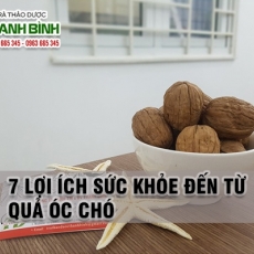 Mua bán quả óc chó tại TP.HCM uy tín chất lượng tốt nhất