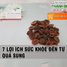 Mua bán quả sung tại TP.HCM uy tín chất lượng tốt nhất