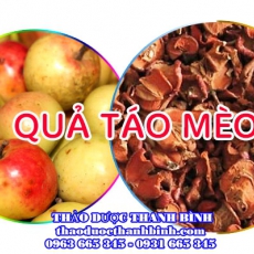 Mua bán quả táo mèo tại Bình Phước giúp điều trị mất ngủ, gan nhiễm mỡ