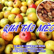 Mua bán quả táo mèo tại Bình Phước uy tín chất lượng nhất