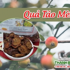 Mua bán quả táo mèo tại quận 8 có tác dụng giảm căng thẳng, mệt mỏi uy tín nhất