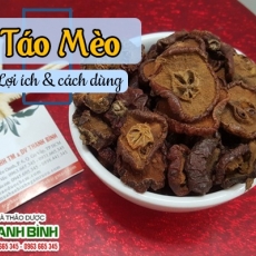 Mua bán quả táo mèo tại TP.HCM uy tín chất lượng tốt nhất