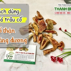 Mua bán quả trâu cổ tại quận 6 có tác dụng giúp thông đại tiện hiệu quả tốt nhất
