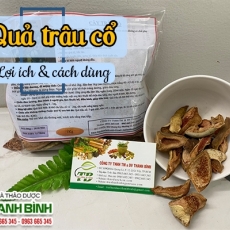 Mua bán quả trâu cổ tại TP.HCM uy tín chất lượng tốt nhất