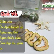 Mua bán quả vả tại TP.HCM uy tín chất lượng tốt nhất
