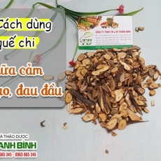 Mua bán quế chi tại quận 3 có tác dụng hỗ trợ cải thiện hệ thần kinh tốt nhất