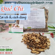 Mua bán quế chi tại TP.HCM uy tín chất lượng tốt nhất