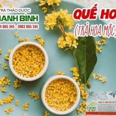Mua bán quế hoa tại quận 11 có tác dụng giải độc tố trong cơ thể