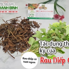Mua bán rau diếp cá tại quận 5 giúp trị táo bón hiệu quả tốt nhất