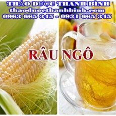 Mua bán râu ngô tại Bến Tre giúp lợi tiểu tăng sự bài tiết của mật hiệu quả