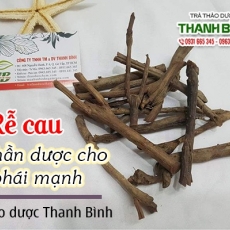 Mua bán rễ cau tại quận 3 có tác dụng bổ thận tốt nhất