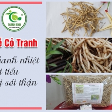 Mua bán rễ cỏ tranh ở quận Gò Vấp giúp lợi tiểu tiện tốt