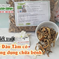 Mua bán rễ dâu ở quận Bình Thạnh có tác dụng trị đau cơ hiệu quả nhất