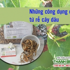 Mua bán rễ dâu tại TP.HCM uy tín chất lượng tốt nhất