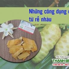 Mua bán rễ nhàu tại quận 4 giúp điều trị mất ngủ uy tín nhất