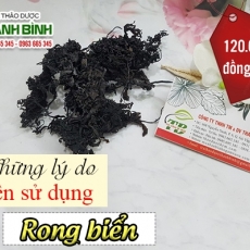 Mua bán rong biển tại TP.HCM uy tín chất lượng tốt nhất