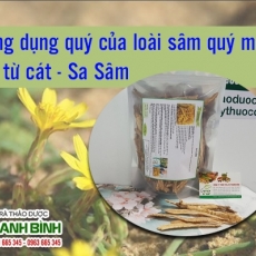 Mua bán sa sâm tại TP.HCM uy tín chất lượng tốt nhất