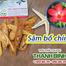 Mua bán sâm bố chính tại Sơn Tây giúp bồi bổ khí huyết rất tốt