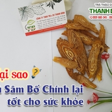 Mua bán sâm bố chính tại TP.HCM uy tín chất lượng tốt nhất