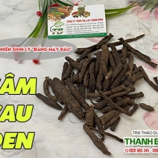 Mua bán sâm cau đen tại quận 9 giúp chống ung thư hiệu quả nhất